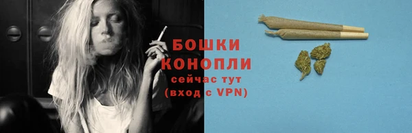 PSILOCYBIN Ладушкин