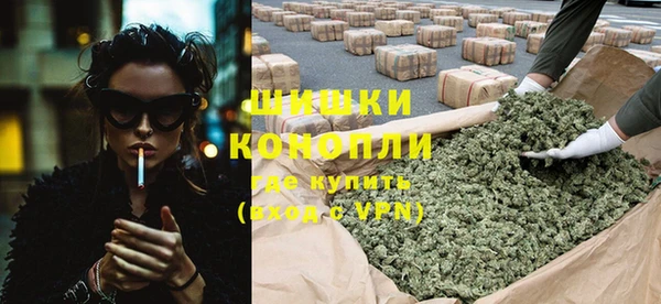 тгк Лиски